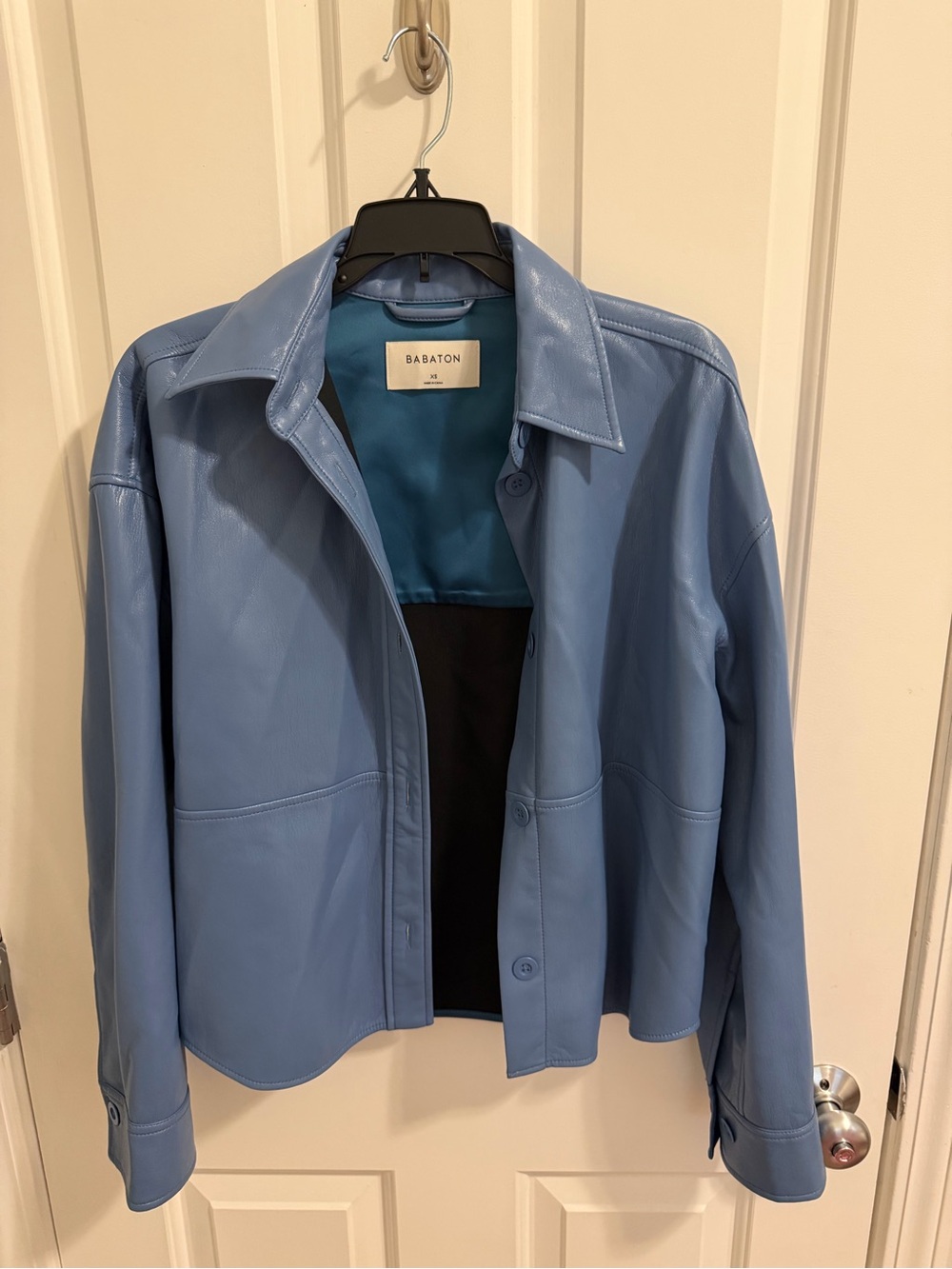 Aritzia Babaton Light Blue Leather Button-Front Jacket